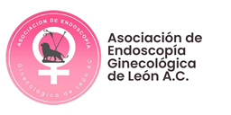 2do Summit Internacional Patología Quirúrgica Ginecológica
